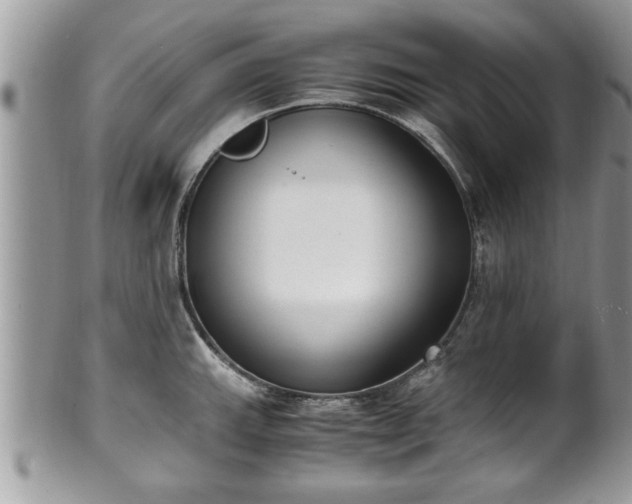 X0000101191143200807071308