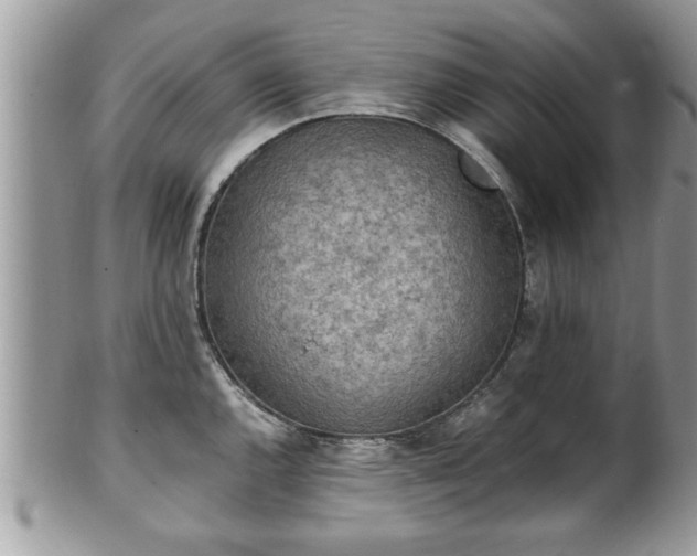 X0000101191144200807071308