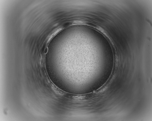 X0000101191145200807071308