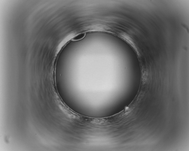 X0000101191146200807071308