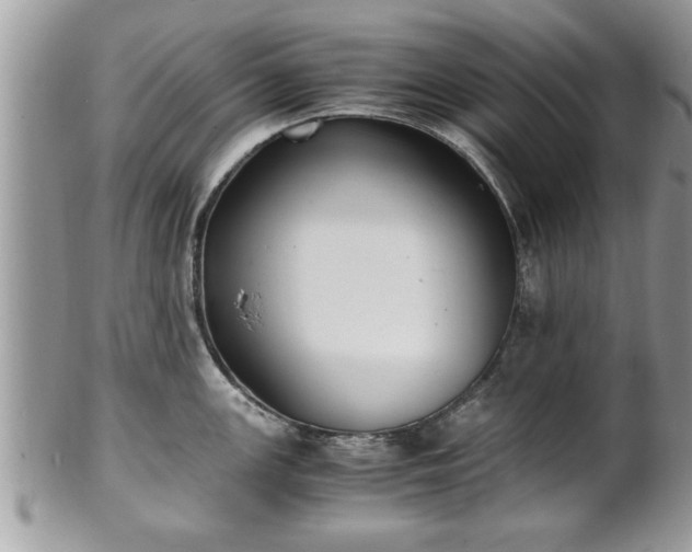 X0000101191147200807071308
