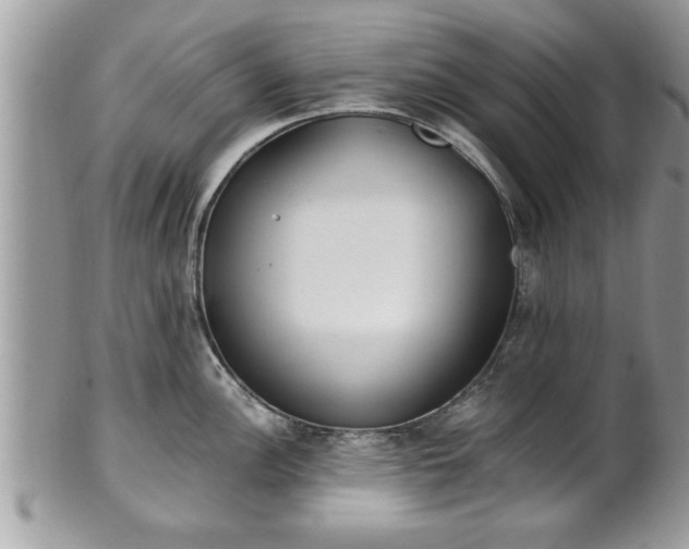 X0000101191148200807071308