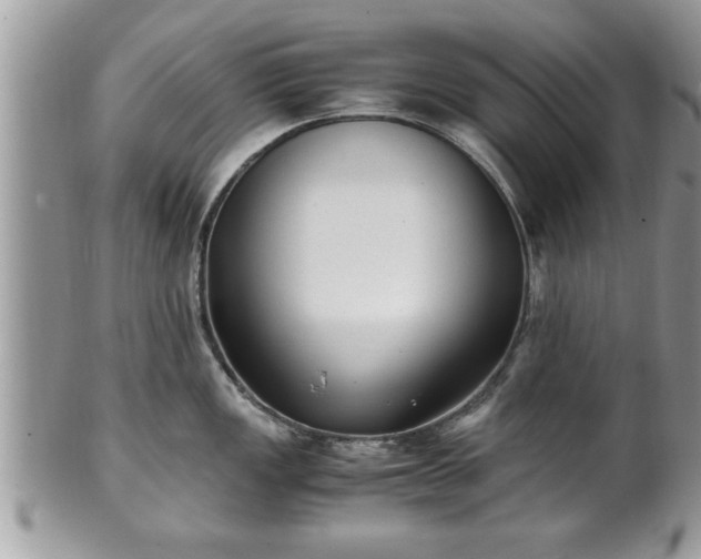 X0000101191149200807071308