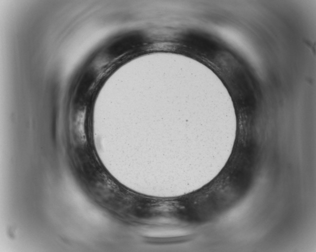 X0000101191150200807071308