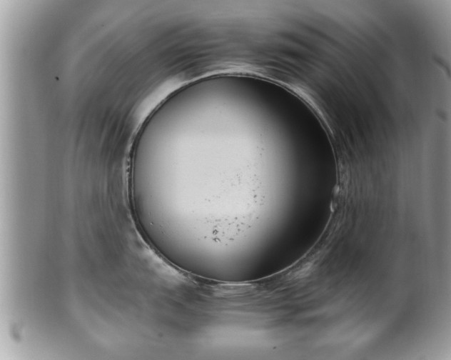 X0000101191151200807071308