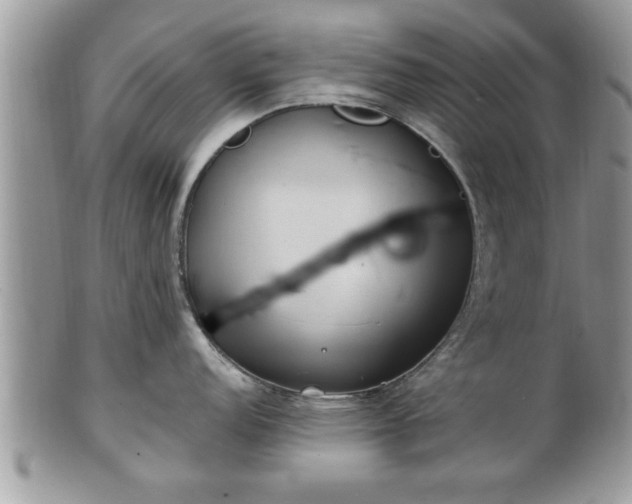 X0000101191152200807071308