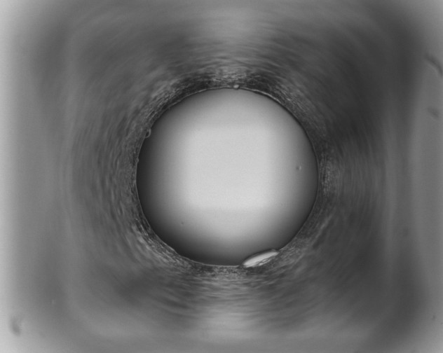 X0000101191153200807071308