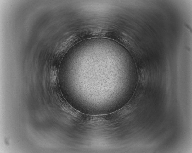 X0000101191154200807071308