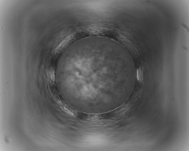 X0000101191155200807071308