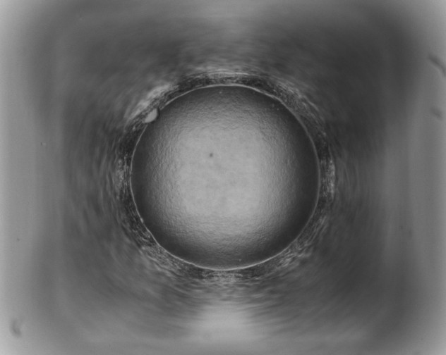 X0000101191157200807071308