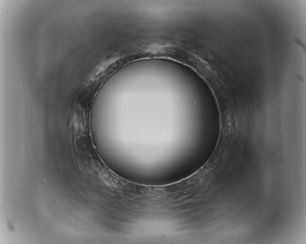 X0000101191158200807071308
