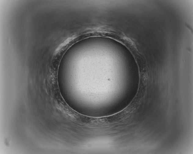 X0000101191159200807071308