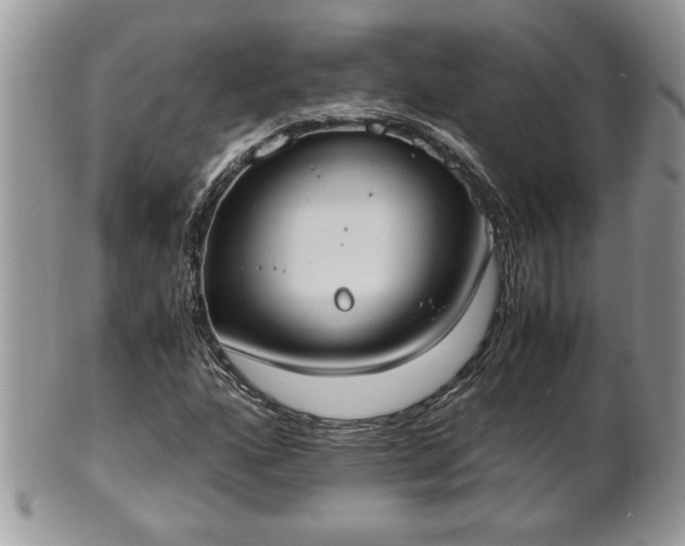 X0000101191160200807071308
