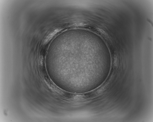 X0000101191161200807071308