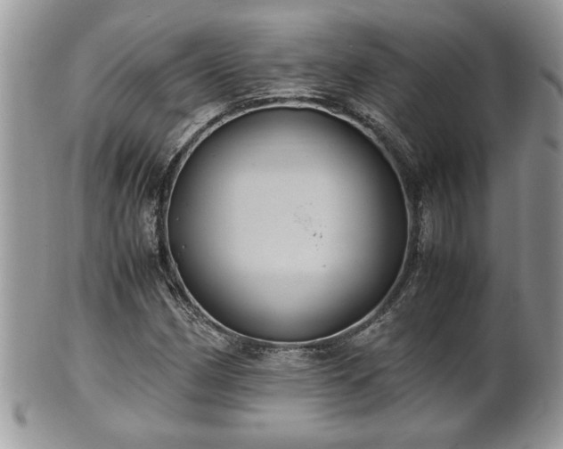 X0000101191162200807071308