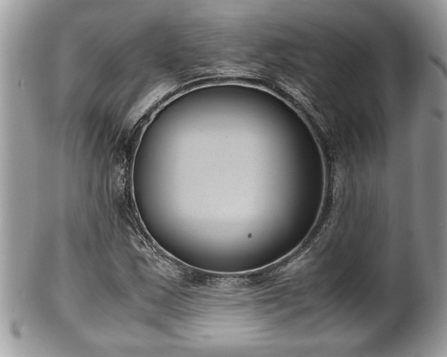 X0000101191163200807071308