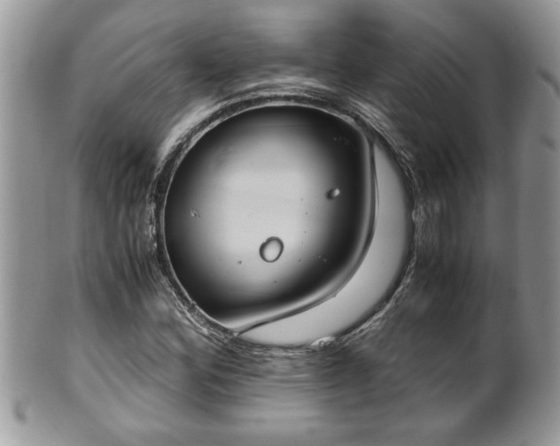 X0000101191164200807071307