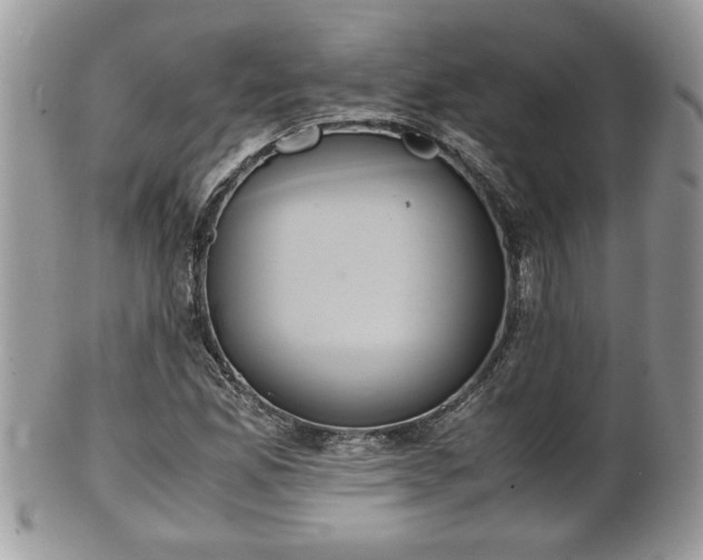 X0000101191165200807071307