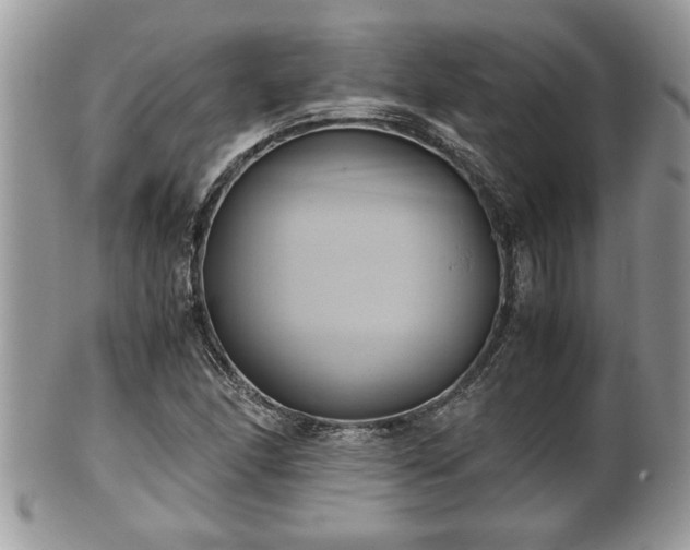 X0000101191166200807071307