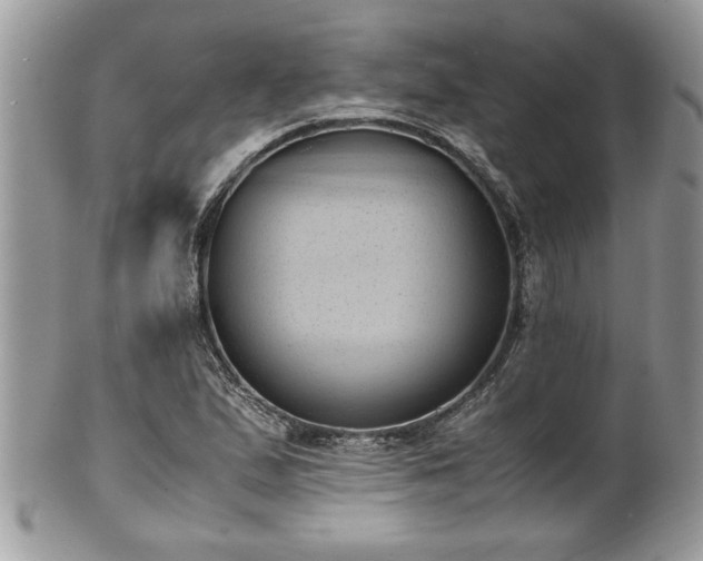 X0000101191167200807071307