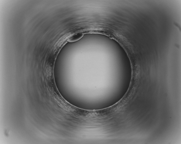 X0000101191169200807071307