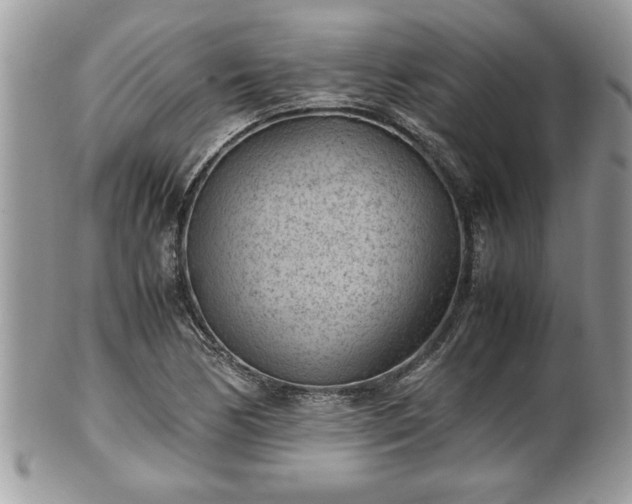 X0000101191170200807071307
