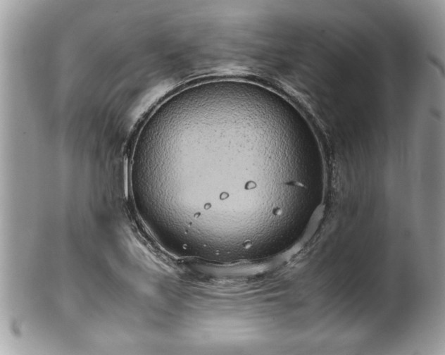 X0000101191171200807071307