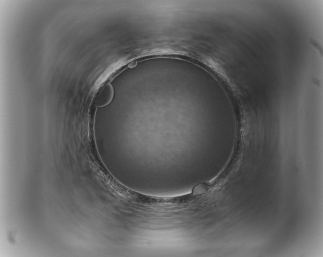 X0000101191173200807071307