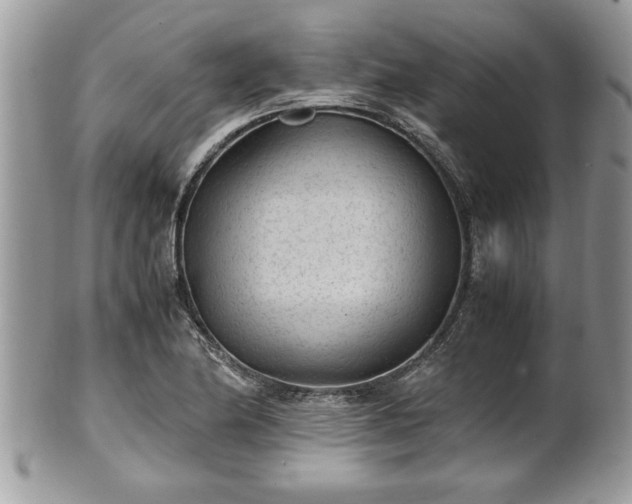 X0000101191174200807071307