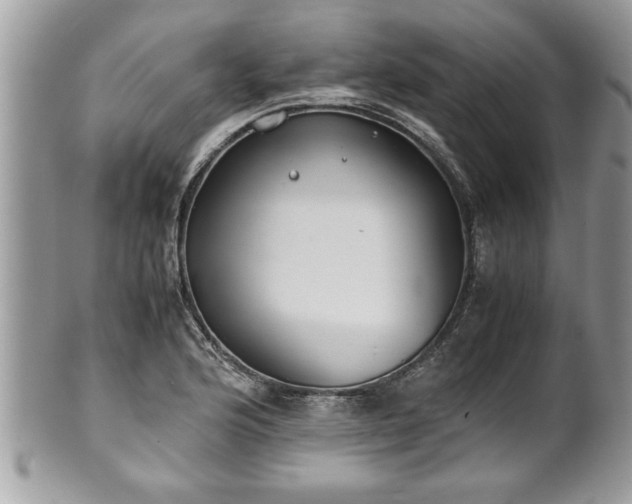 X0000101191176200807071307