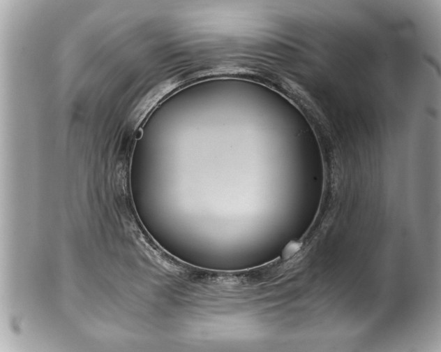 X0000101191177200807071307