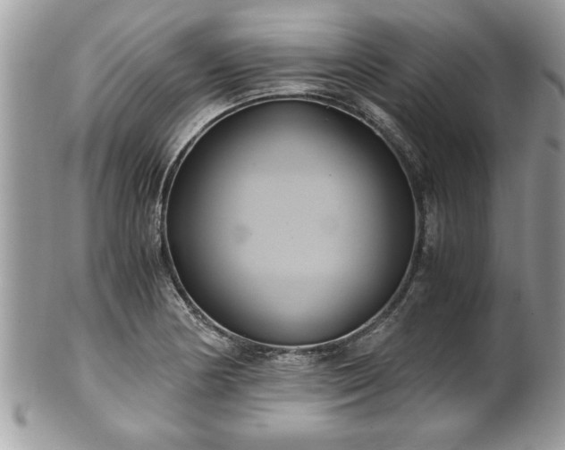 X0000101191178200807071307