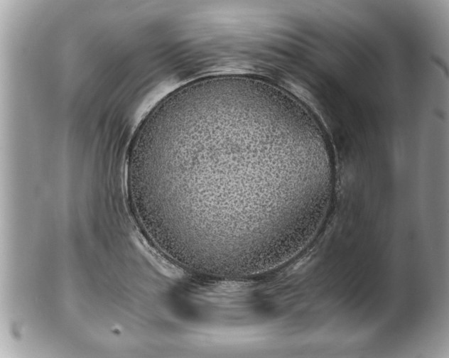 X0000101191179200807071307