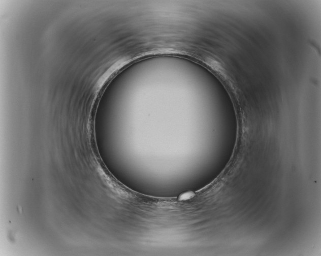 X0000101191181200807071307