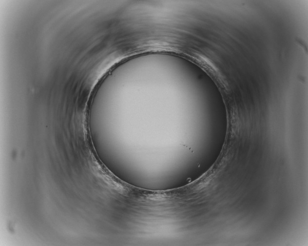 X0000101191182200807071307