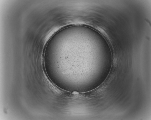 X0000101191183200807071307