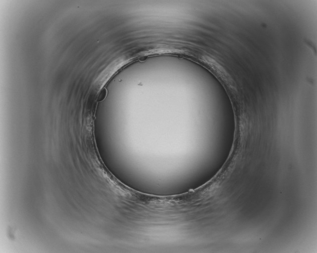 X0000101191185200807071307