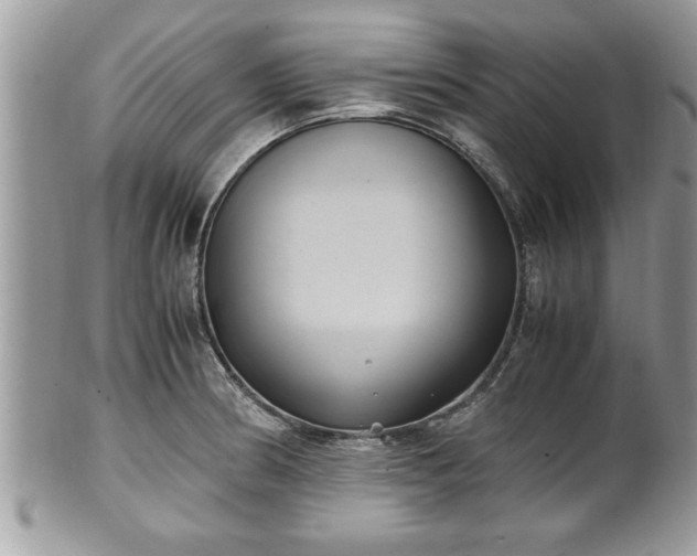 X0000101191186200807071307