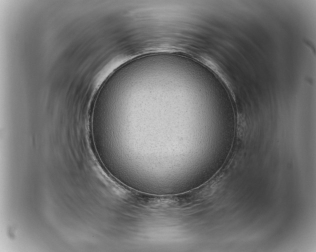 X0000101191187200807071307