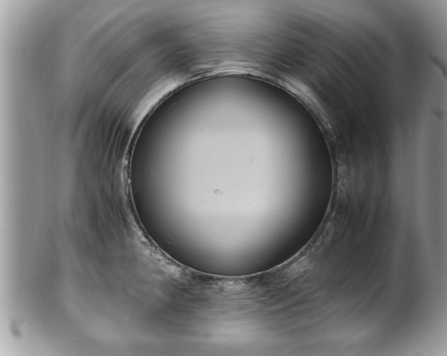X0000101191190200807071307