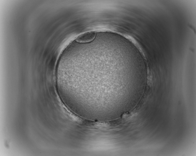 X0000101191191200807071307