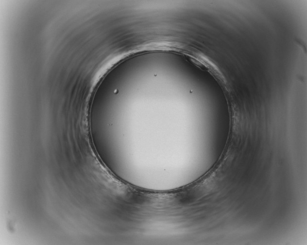 X0000101191192200807071307