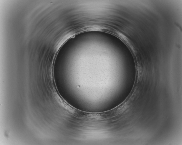 X0000101191194200807071307