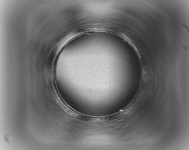 X0000101191195200807071307