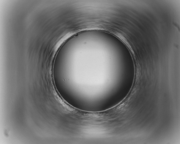 X0000101191197200807071307