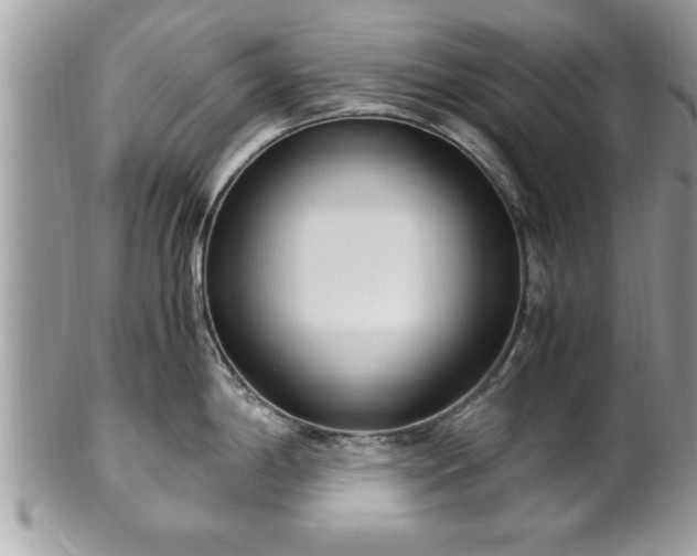 X0000101191198200807071307