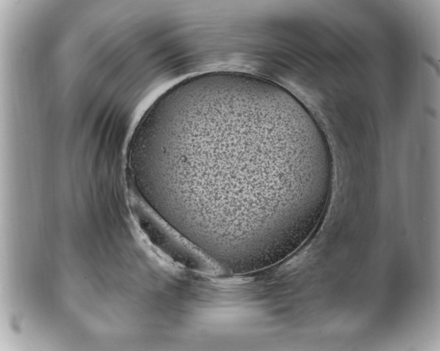 X0000101191200200807071307