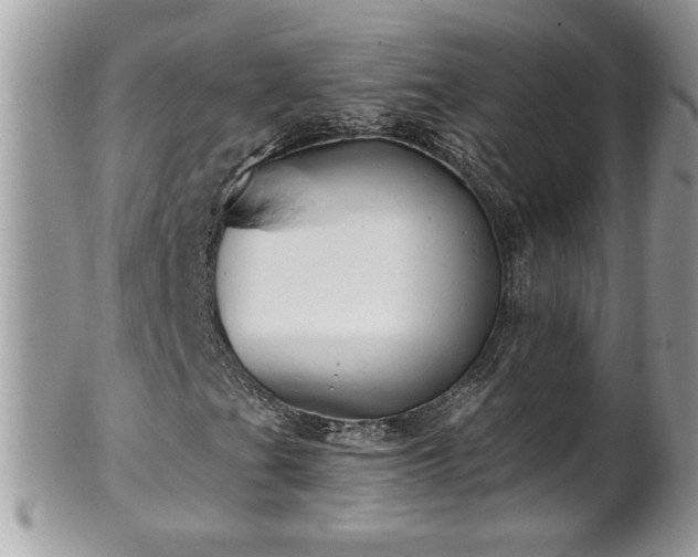 X0000101191201200807071306