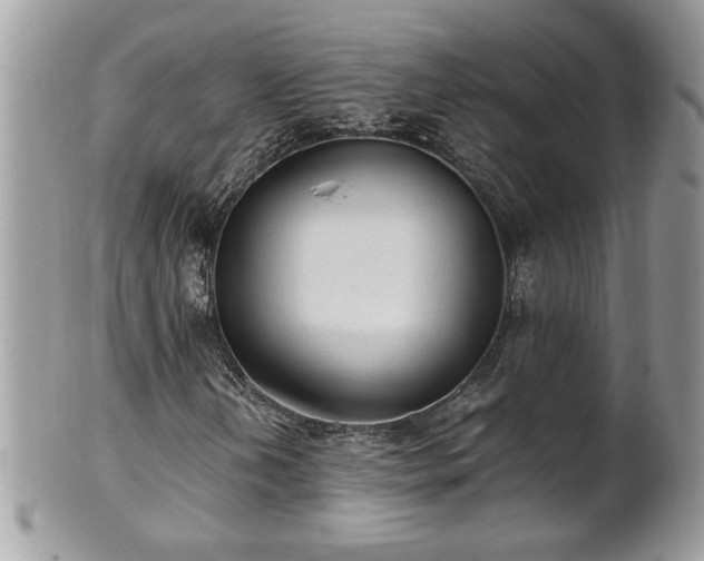 X0000101191202200807071306