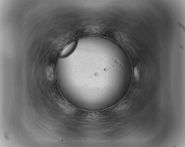 X0000101191203200807071306